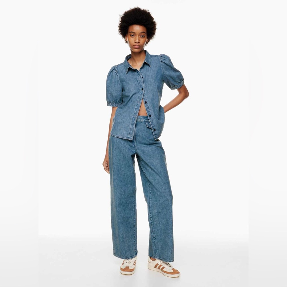 Aritzia Wilfred Free Blouse